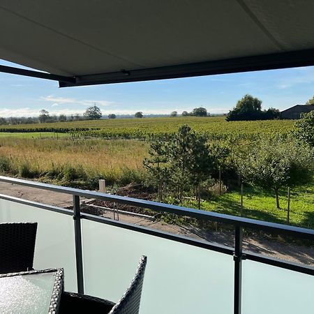 Oasis Tout Confort A Bergheim, Alsace Экстерьер фото